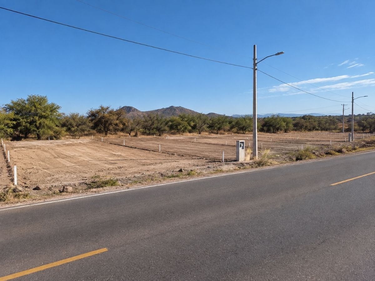 Frente a pie de carretera